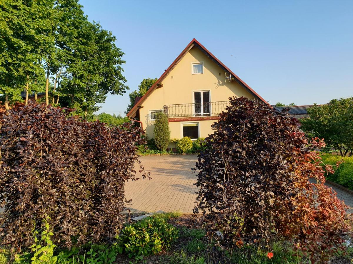 Gospodarstwo Agroturystyczne Damroka Szymbark (Pomerania) Exterior foto